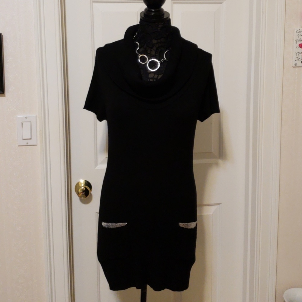 Inc Knit Tunic Sweate